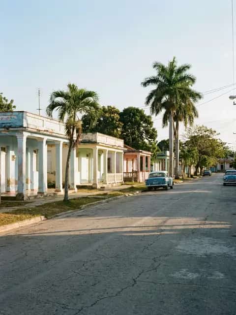 Calle de pueblo con casas bajas de colores y palmas