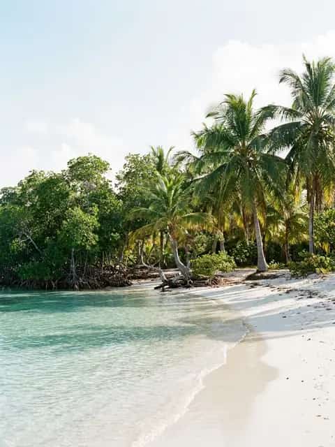 Mar turquesa y arena blanca en Cayo Coco
