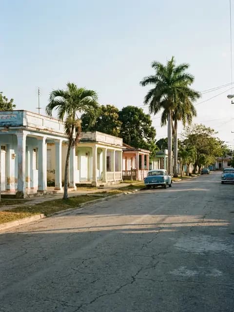 Calle de pueblo con casas bajas de colores y palmas