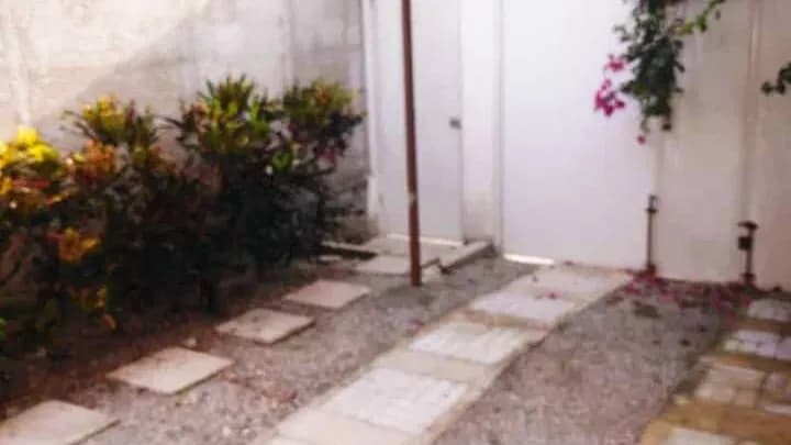 Vivienda de 4 habitaciones en Monterrey, San Miguel del Padrón — foto 6 de 10