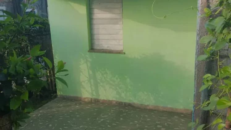 Vivienda de 2 habitaciones en Montequín, Pinar del Río — foto 7 de 10