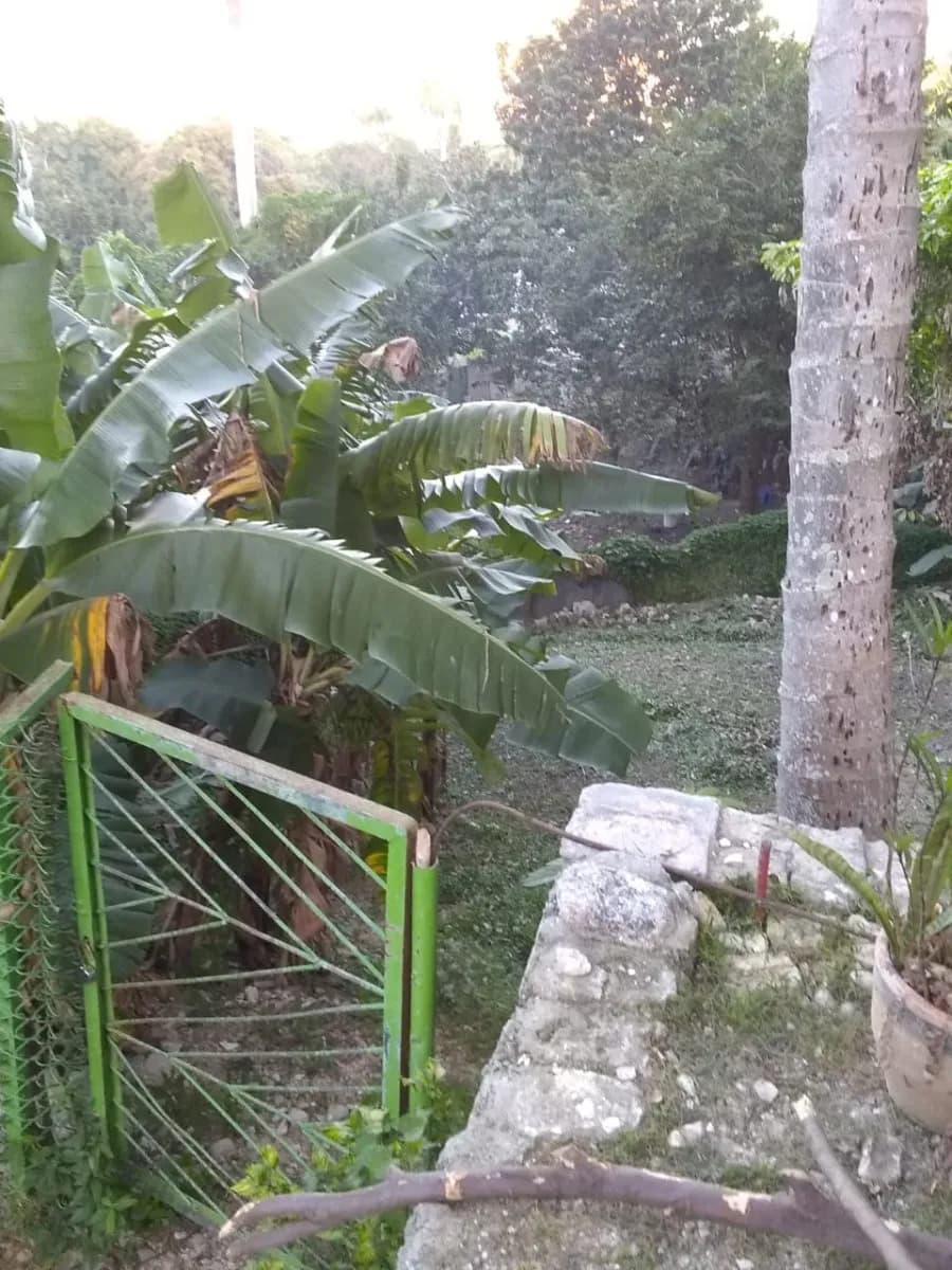 Vivienda de 3 habitaciones en Alturas de Belén, Marianao — foto 2 de 11