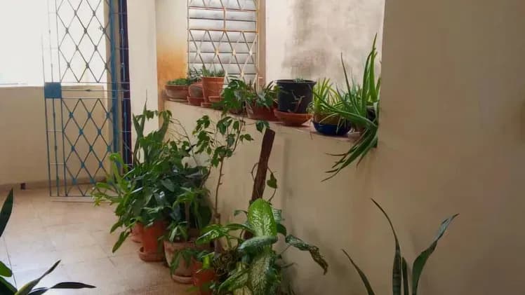 Vivienda de 2 habitaciones en Vedado, Plaza de la Revolución — foto 10 de 10