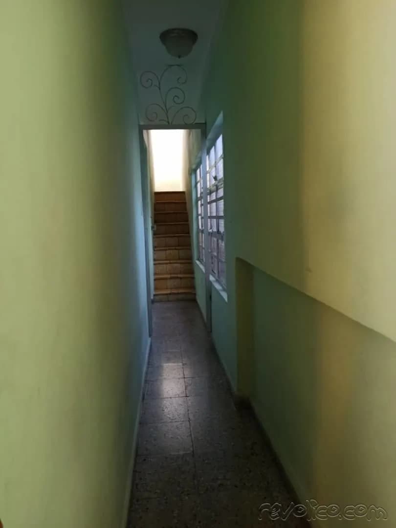 Vivienda de 4 habitaciones en Palatino, Cerro — foto 5 de 10
