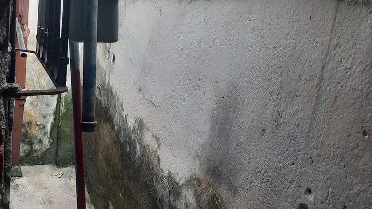 Vivienda de 1 habitaciones en Santos Suárez, Diez de Octubre — foto 10 de 10