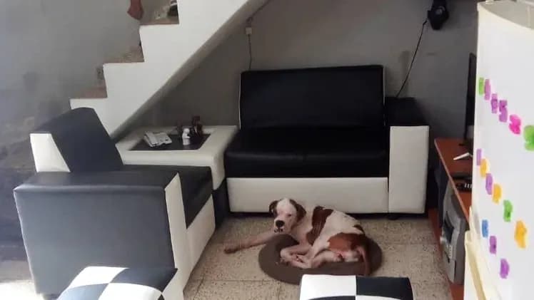 Vivienda de 2 habitaciones en Los Sitios, Centro Habana — foto 8 de 10