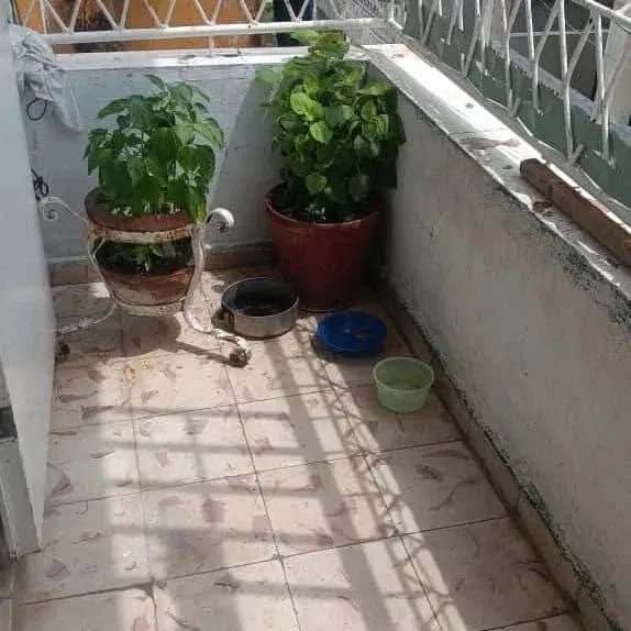 Vivienda de 3 habitaciones en Casino Deportivo, Cerro — foto 2 de 10