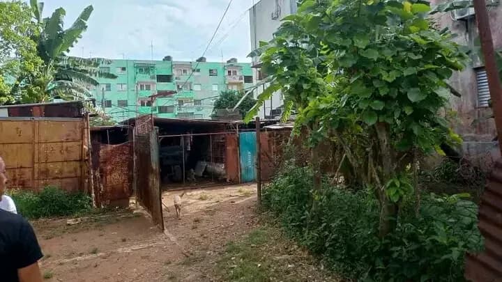 Vivienda de 3 habitaciones en Mulgoba, Boyeros — foto 4 de 9