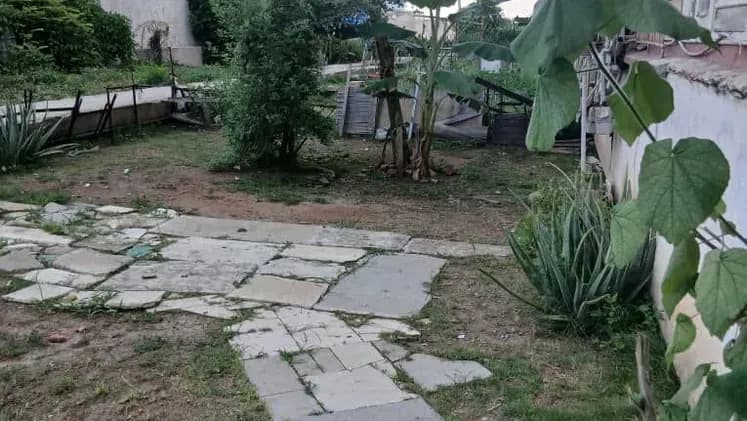 Vivienda de 3 habitaciones en Vedado, Plaza de la Revolución — foto 4 de 8