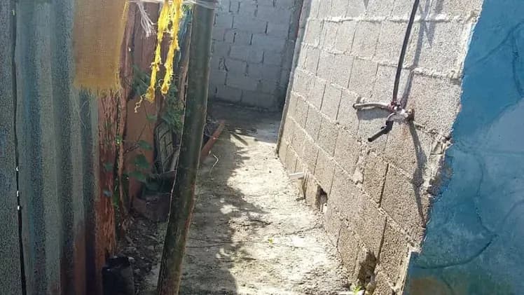 Vivienda de 1 habitaciones en La Rosita, San Miguel del Padrón — foto 3 de 10