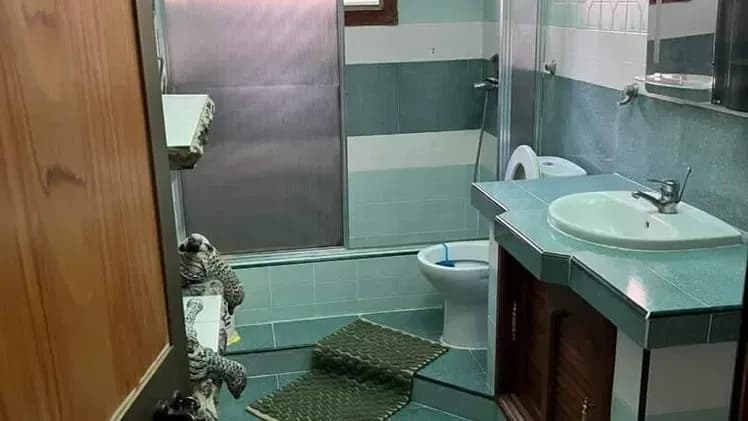 Vivienda de 5 habitaciones en Altahabana, Boyeros — foto 5 de 10