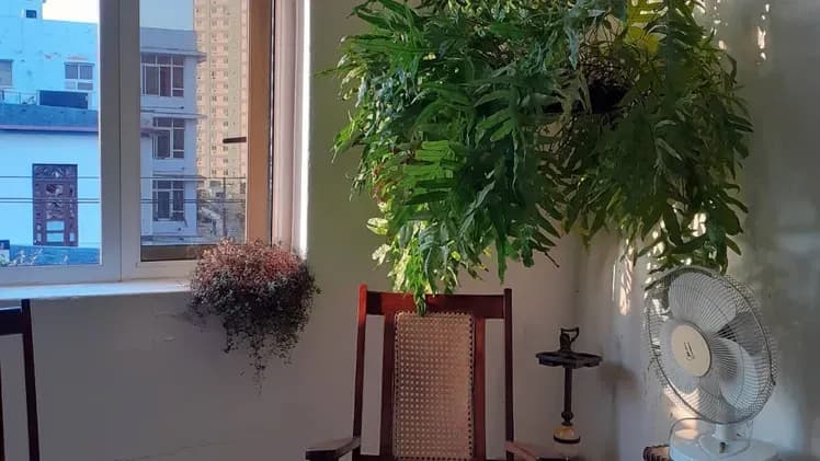 Vivienda de 2 habitaciones en Vedado, Plaza de la Revolución