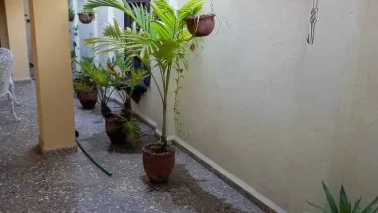 Vivienda de 6 habitaciones en Vedado, Plaza de la Revolución — foto 2 de 4