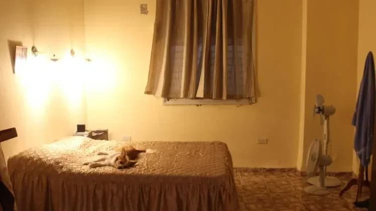 Vivienda de 5 habitaciones en Vedado, Plaza de la Revolución — foto 4 de 8