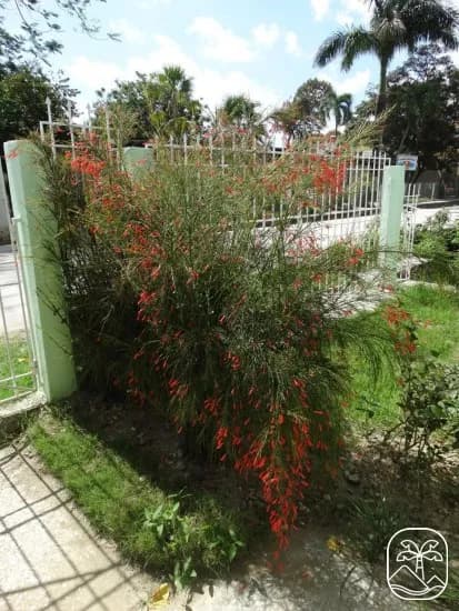 Vivienda de 6 habitaciones en Vista Alegre, Holguín — foto 9 de 9