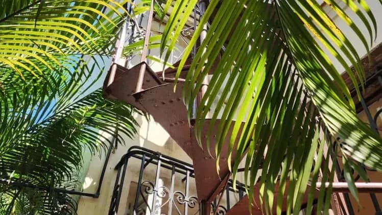 Vivienda de 6 habitaciones en Vedado, Plaza de la Revolución — foto 9 de 10