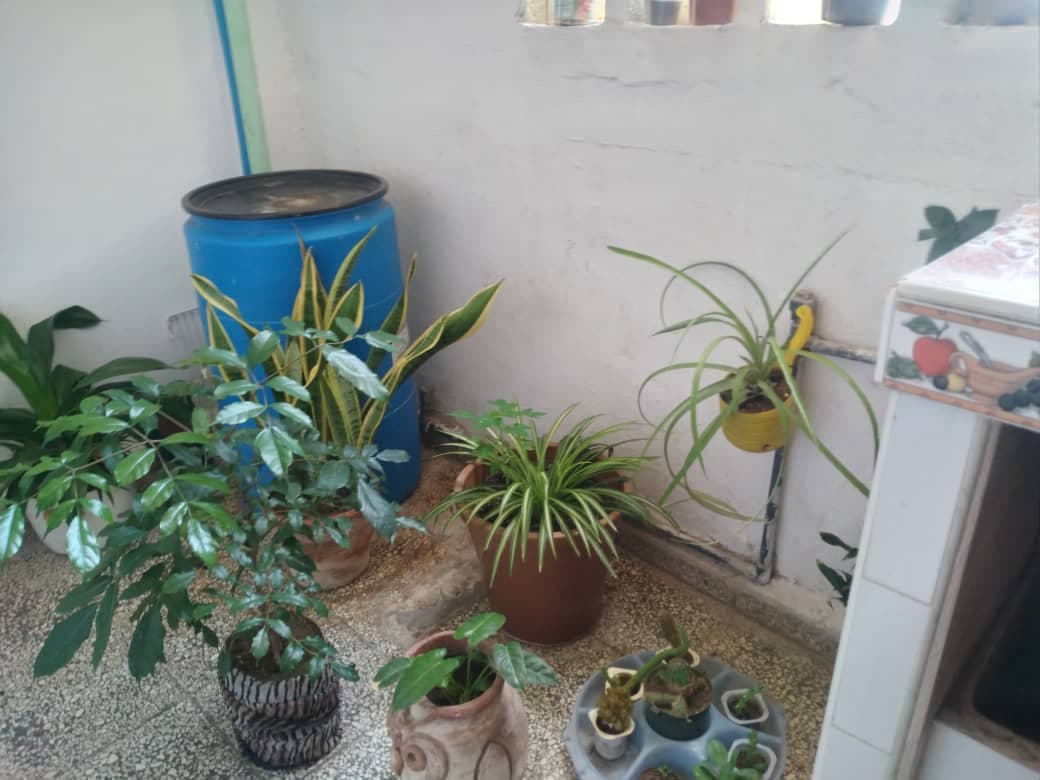 Casa de 2 habitaciones en Nuevo Holguín, Holguín — foto 3 de 10