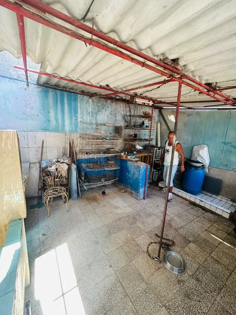Vivienda de 3 habitaciones en Vedado, Plaza de la Revolución — foto 6 de 12