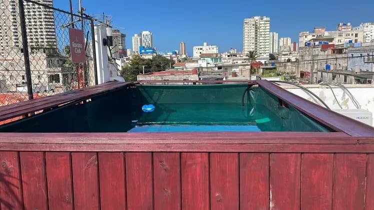 Vivienda de 5 habitaciones en Vedado, Plaza de la Revolución — foto 5 de 10
