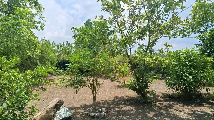 Vivienda de 2 habitaciones en Barreras, Guanabacoa — foto 7 de 10