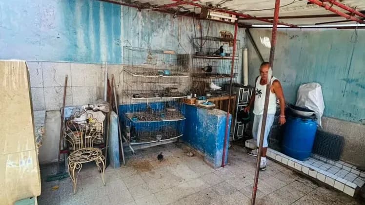 Vivienda de 3 habitaciones en Vedado, Plaza de la Revolución — foto 6 de 10