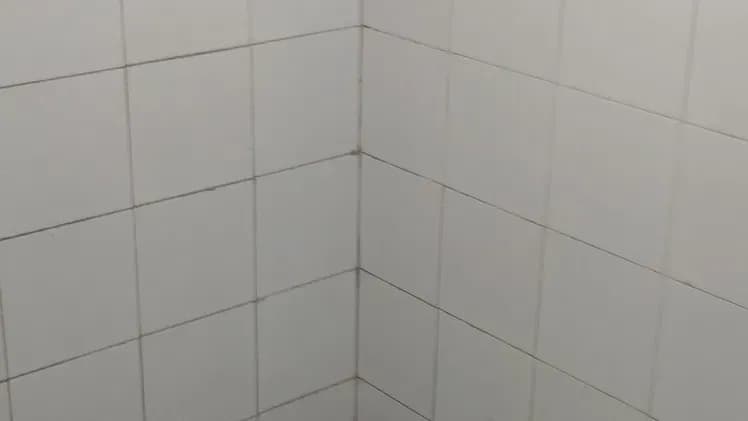 Vivienda de 1 habitaciones en Santa Fe, Playa — foto 7 de 8