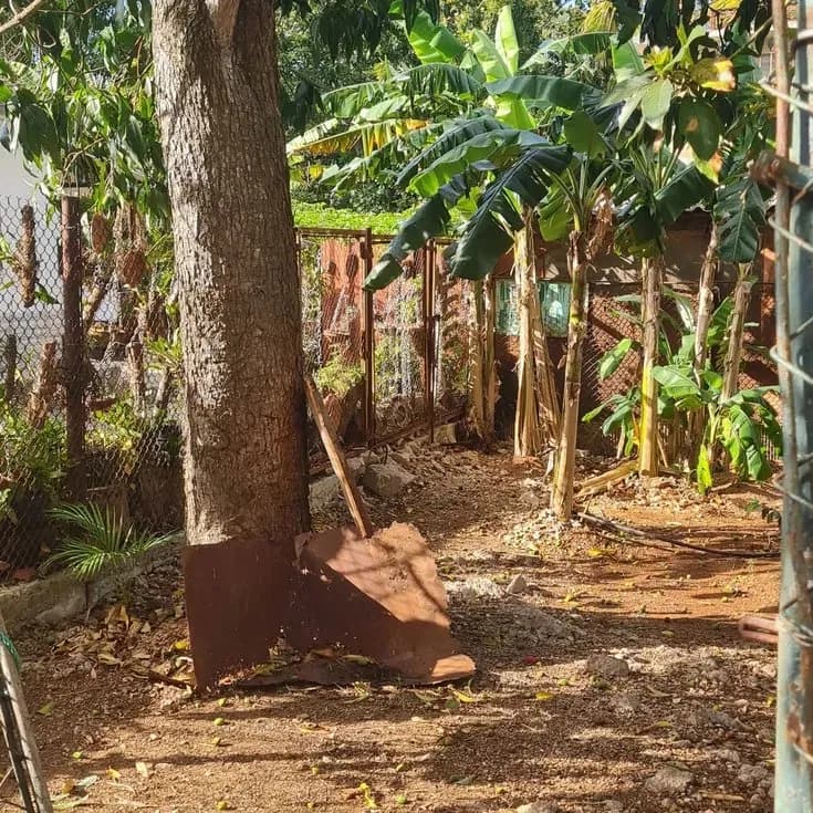 Vivienda de 5 habitaciones en Cojímar, La Habana del Este — foto 2 de 7