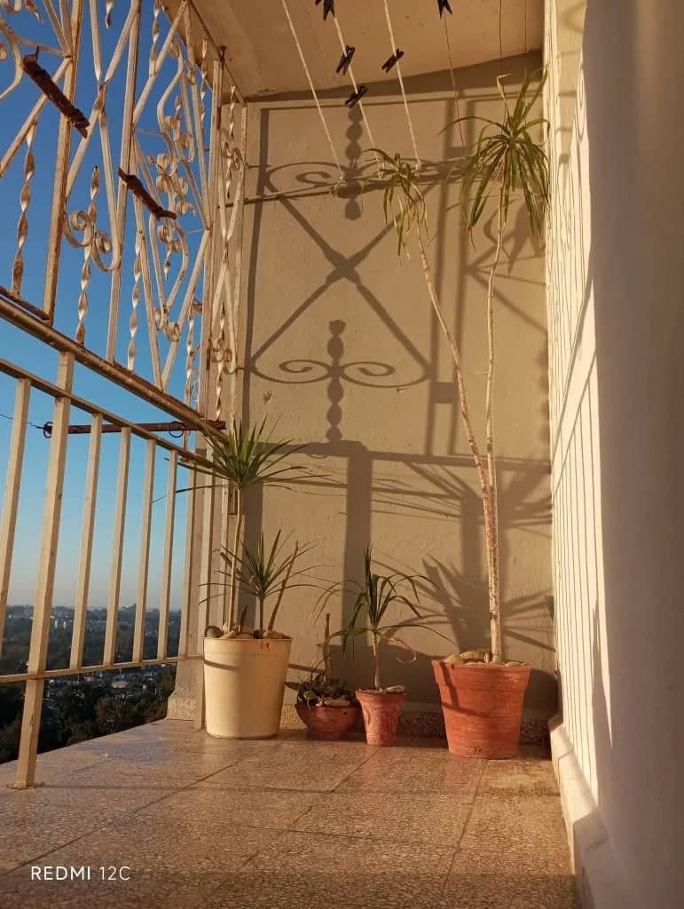 Vivienda de 2 habitaciones en Pueblo Griffo, Cienfuegos — foto 9 de 12