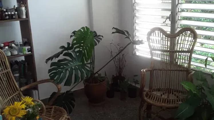 Vivienda de 2 habitaciones en Altahabana, Boyeros — foto 3 de 10