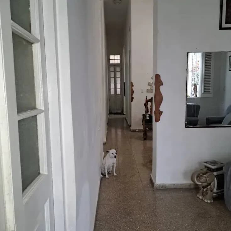 Vivienda de 3 habitaciones en Santos Suárez, Diez de Octubre — foto 5 de 10