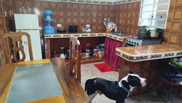 Vivienda de 4 habitaciones en Víbora, Diez de Octubre — foto 3 de 10