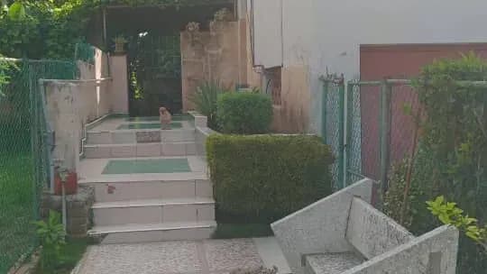 Vivienda de 4 habitaciones en Miramar, Playa — foto 5 de 10