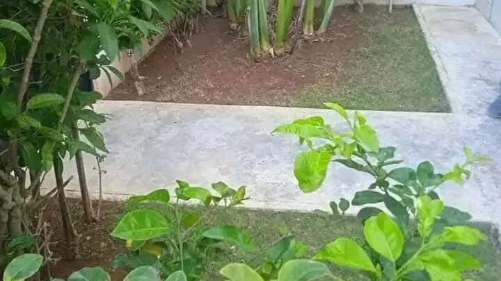 Vivienda de 5 habitaciones en Sevillano, Diez de Octubre