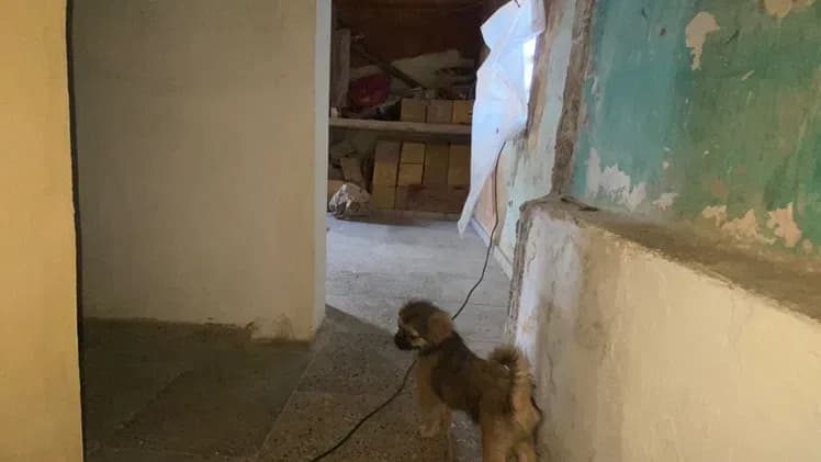 Vivienda de 3 habitaciones en Luyanó, Diez de Octubre — foto 10 de 10