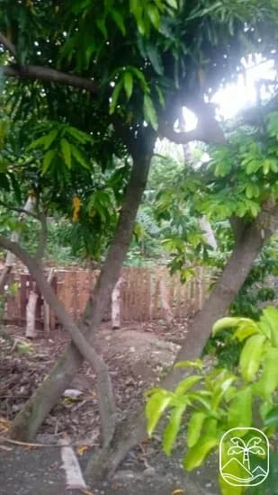 Vivienda de 3 habitaciones en Vista Bella, Camagüey — foto 5 de 11