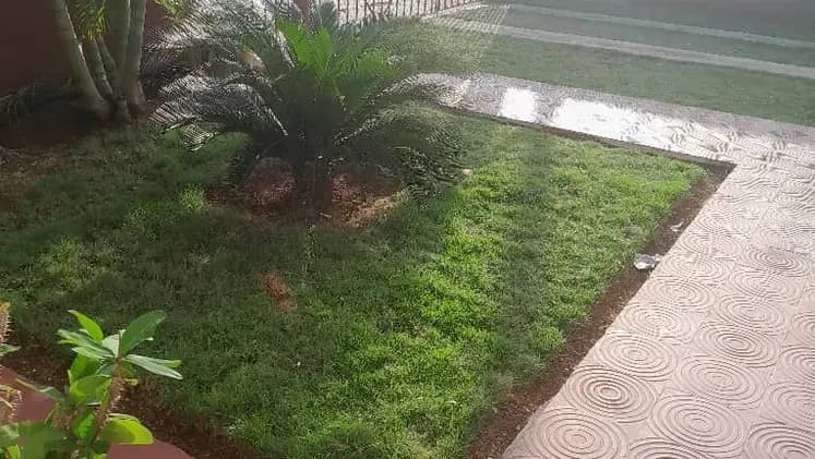 Vivienda de 3 habitaciones en San Agustín, La Lisa — foto 7 de 8
