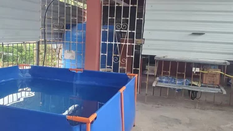 Vivienda de 5 habitaciones en Víbora, Diez de Octubre — foto 6 de 6