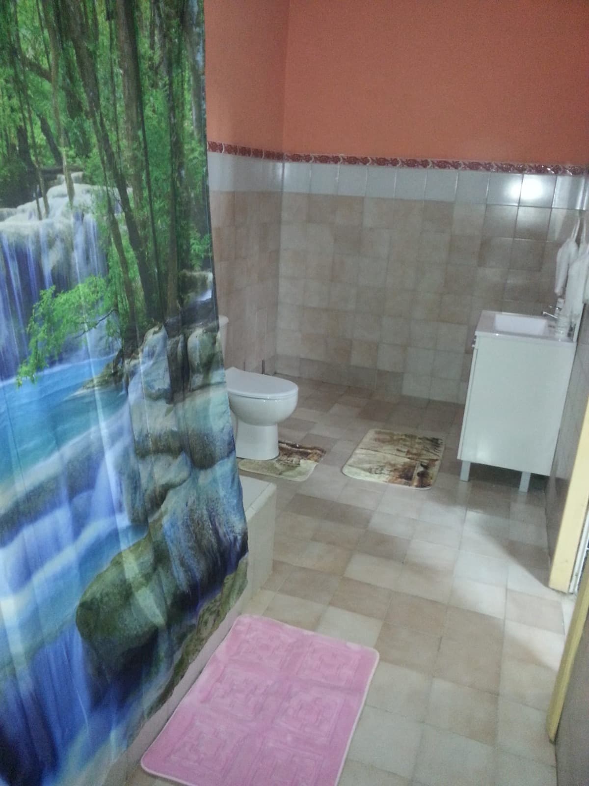 Casa de 4 habitaciones en Palatino, Cerro — foto 4 de 6