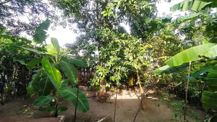 Vivienda de 2 habitaciones en Maffo, Contramaestre — foto 10 de 10