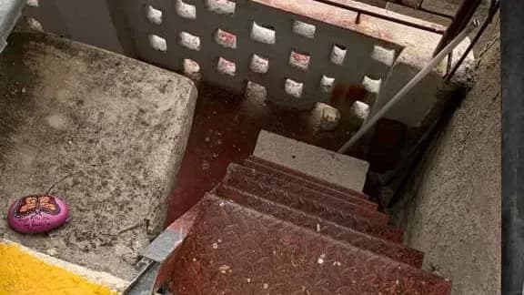 Vivienda de 1 habitaciones en Vedado, Plaza de la Revolución — foto 6 de 8