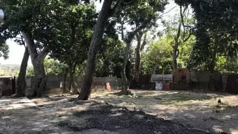 Vivienda de 3 habitaciones en Párraga, Arroyo Naranjo — foto 10 de 10