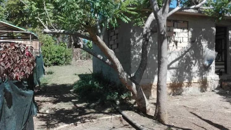 Vivienda de 1 habitaciones en Trébol, Boyeros — foto 9 de 10