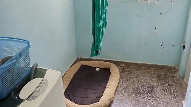 Vivienda de 2 habitaciones en Santos Suárez, Diez de Octubre — foto 9 de 10