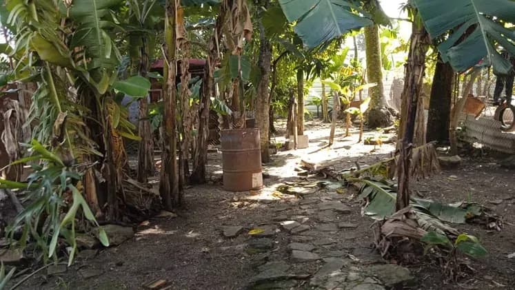 Vivienda de 4 habitaciones en Nalón, Guanabacoa — foto 5 de 5