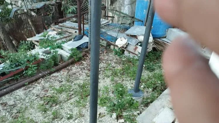 Vivienda de 3 habitaciones en Alturas de Belén, Marianao — foto 6 de 9