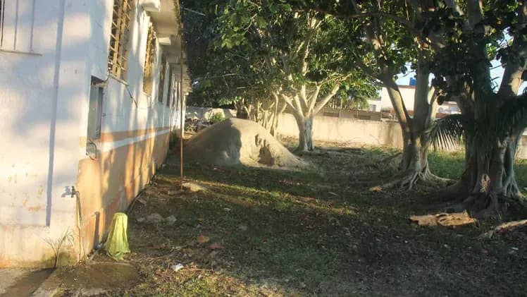 Vivienda de 2 habitaciones en Altahabana, Boyeros — foto 4 de 9