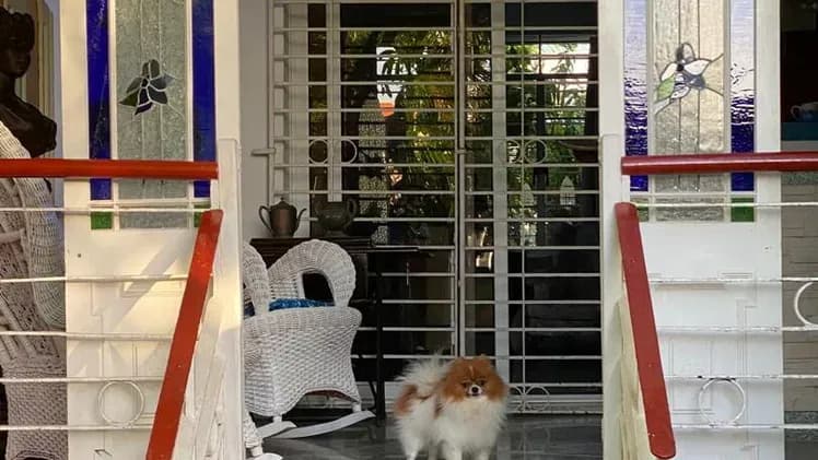 Vivienda de 5 habitaciones en Nuevo Vedado, Plaza de la Revolución — foto 7 de 10