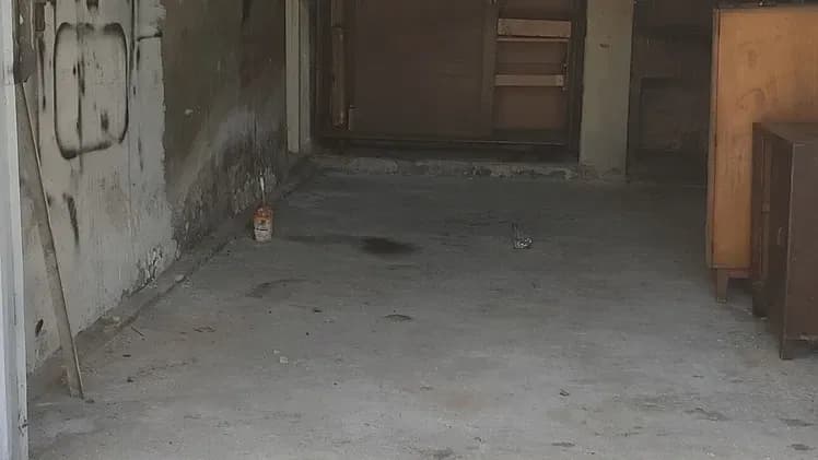 Vivienda de 2 habitaciones en La Ceiba, Playa — foto 8 de 10