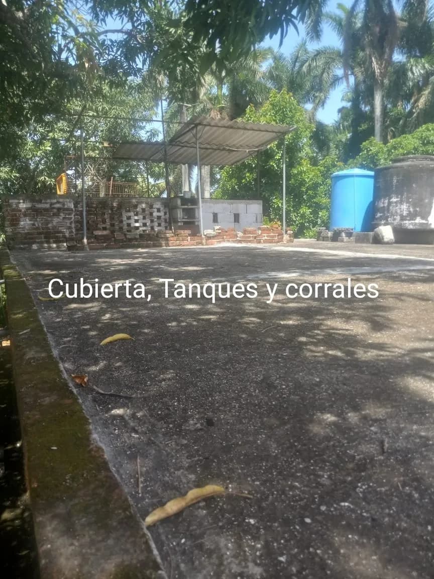 Vivienda de 4 habitaciones en Escambray, Santa Clara — foto 6 de 12