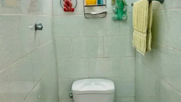 Vivienda de 3 habitaciones en Santa Amalia, Arroyo Naranjo — foto 8 de 10